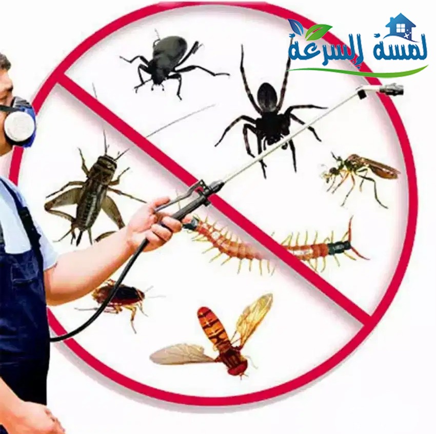 شركة مكافحة حشرات غرب الرياض